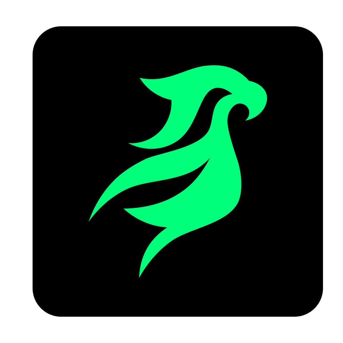 protocoloenem.com